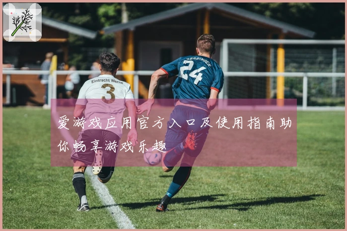 爱游戏应用官方入口及使用指南助你畅享游戏乐趣