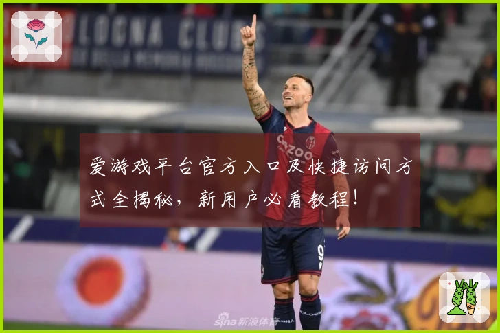爱游戏平台官方入口及快捷访问方式全揭秘，新用户必看教程！