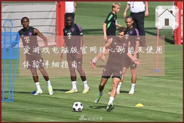 爱游戏电脑版官网核心功能及使用体验详细指南
